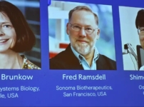 «Иммунитет жүйесін жіті зерттегендер». Медицина саласы бойынша Нобель сыйлығының иегерлері анықталды