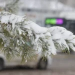 Батыс Қазақстан облысындағы қолайсыз ауа райы жағдайы туралы ресми ақпарат