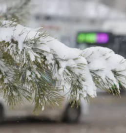 Батыс Қазақстан облысындағы қолайсыз ауа райы жағдайы туралы ресми ақпарат