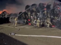 Түркістан облысында 260 тонна мақта өртеніп кетті