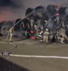 Түркістан облысында 260 тонна мақта өртеніп кетті