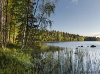 На карте: какая страна больше всего зависит от природных ресурсов?