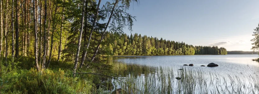 На карте: какая страна больше всего зависит от природных ресурсов?