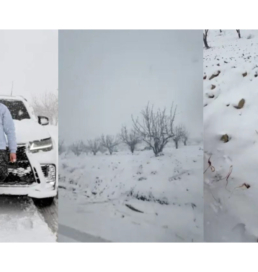 «Қар салынған шәрбат. Басама. Сирия тәттісі». Сириядағы аль-Машрафа ауылы күтпеген жерден туристік мекенге айналды