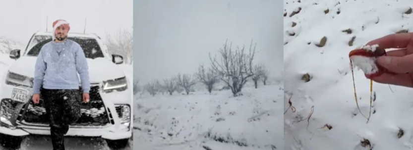 «Қар салынған шәрбат. Басама. Сирия тәттісі». Сириядағы аль-Машрафа ауылы күтпеген жерден туристік мекенге айналды