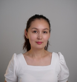 Сарапшы талдауы: «V Ұлттық Құрылтай: мазмұн мен бағыттарға сараптамалық көзқарас»