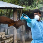 «Жан алғыш» нипах вирусы тарап жатыр». Пәкістан үкіметі Үндістаннан қорғана бастады