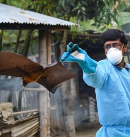«Жан алғыш» нипах вирусы тарап жатыр». Пәкістан үкіметі Үндістаннан қорғана бастады