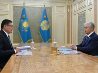 Мемлекет басшысы Берік Уәлиді қабылдап, Абай облысының әлеуметтік-экономикалық даму көрсеткіштерімен танысты