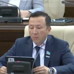 Депутат: балалардың санасын мектептен бұрын TikTok қалыптастырып отыр