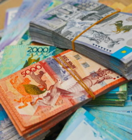 Медицина мамандарының жалақысын арттыруға 33 млрд теңге бөлінді