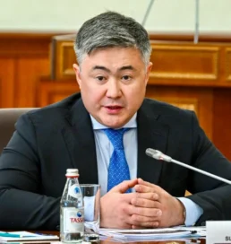Тимур Сүлейменов: 2026 жылға инфляция 9–11 пайыз деңгейінде болады