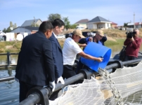 Алматы облысында жылына 400 тонна балық өндіретін жаңа кәсіпорын іске қосылды
