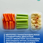 Қазақстанда мектептегі тамақтану стандарттары балалар арасындағы артық салмақтың алдын алуға бағытталды