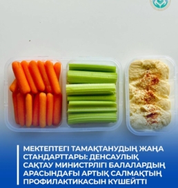 Қазақстанда мектептегі тамақтану стандарттары балалар арасындағы артық салмақтың алдын алуға бағытталды